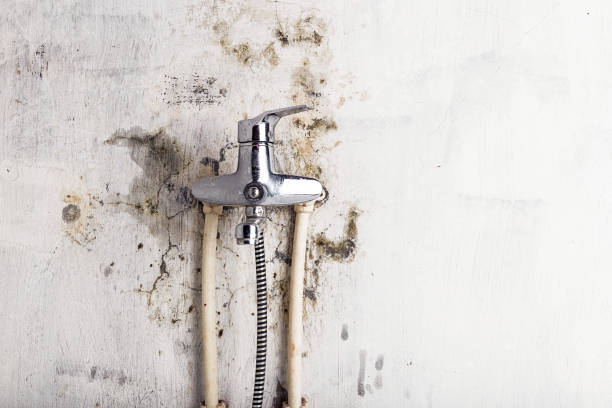 Home Mold Removal in Truth Or Consequences, NM