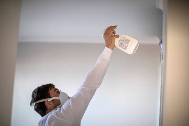 Best Mold Damage Repair  in Truth Or Consequences, NM